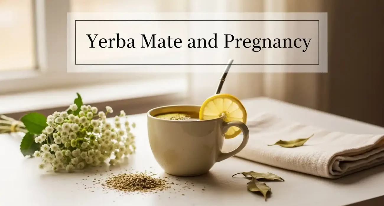 Yerba Mate and Pregnancy